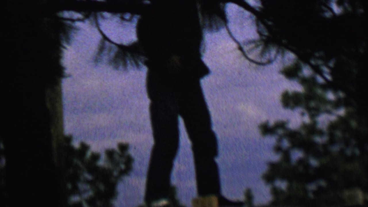 1962 8mm home-movie frame showing an unidentified person in silhouette outdoors, partly framed by tree trunks and branches against a purple-blue dusk sky.