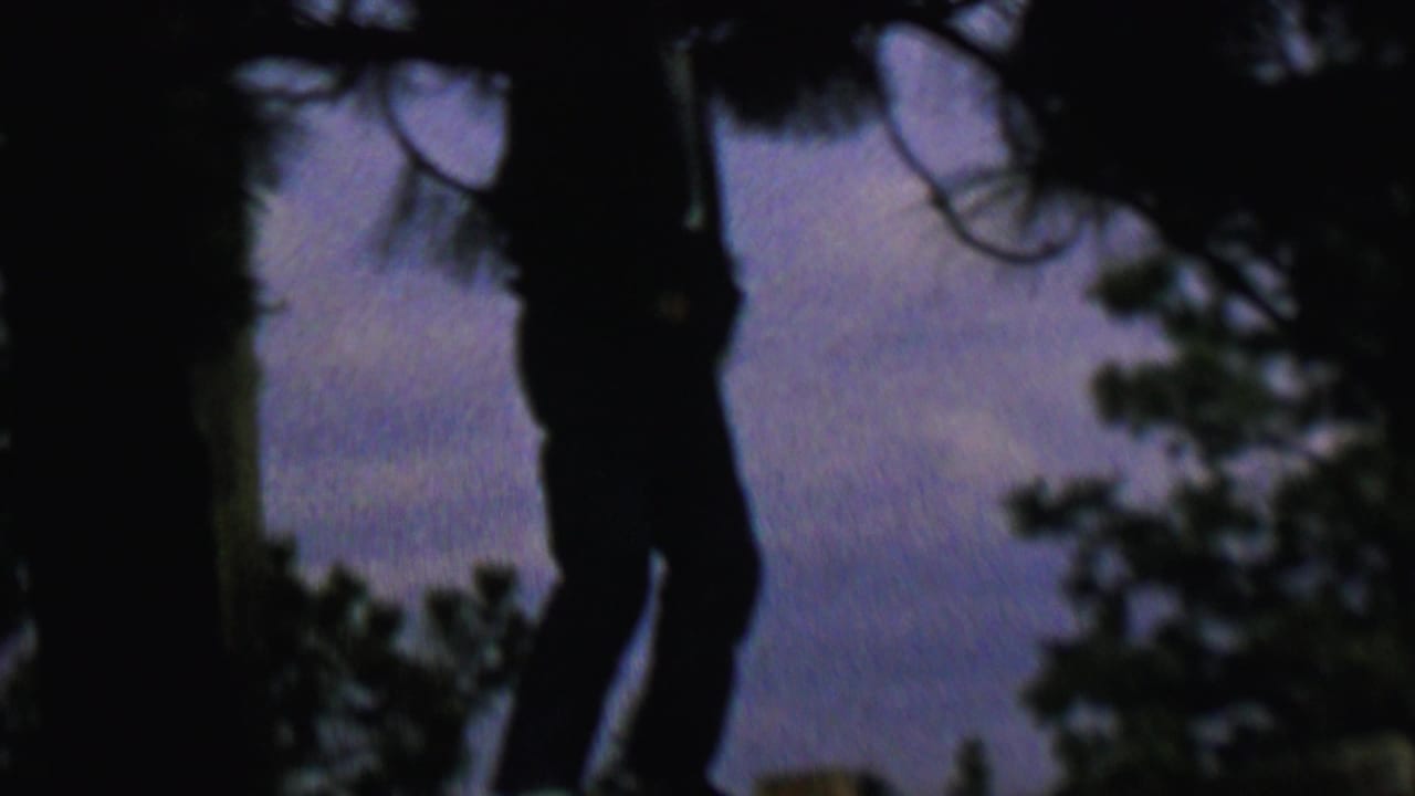 Dark profile of a person beside a tree trunk with branches overhead.
