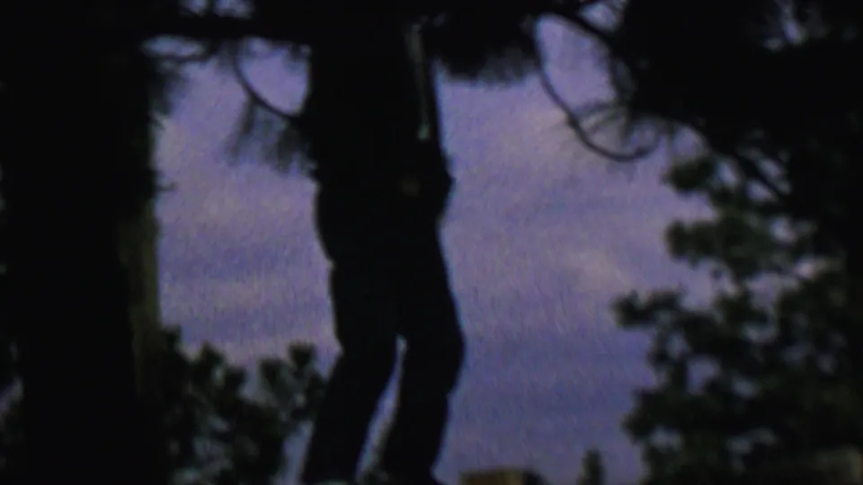 Silhouetted person appears in profile beside a tree trunk, with dark branches crossing the upper frame and a dim sky behind them.