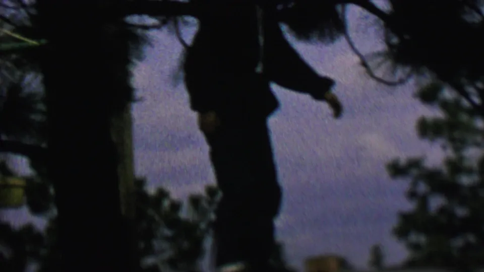 The unidentified figure is silhouetted against the dusk sky with one arm extended downward, surrounded by tree trunks and blurred foliage.
