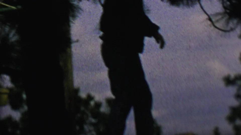Final 8mm frame shows the person in a side silhouette with one arm lowered, standing between dark trees against a grainy purple-blue sky.