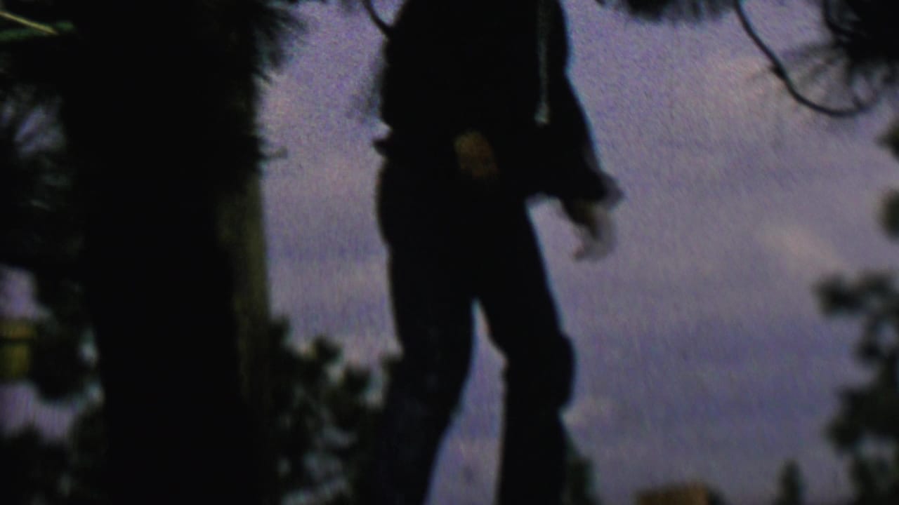Silhouetted person standing on a wooden fence beside trees under a dim sky.