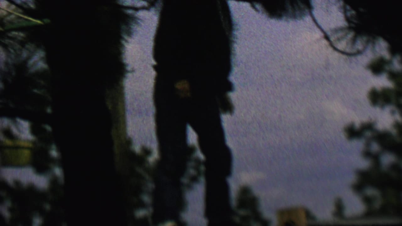 The 1962 St. Paul home-movie frame shows an unidentified silhouetted person near a tree trunk, positioned above a wooden fence against a grainy purple-blue sky.