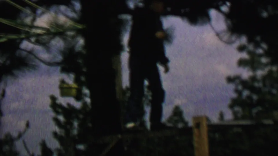 The final frame shows the silhouetted person standing beside a tree and above a wooden fence rail, with pine branches and a dim sky in the background.