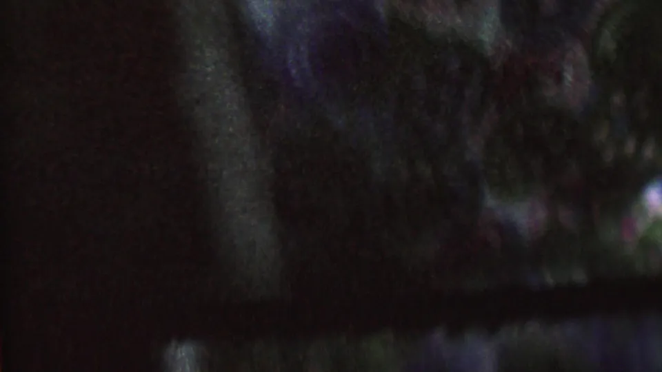 Grainy 1962 8mm frame from the St. Paul home movie showing a floral dress area beside dark clothing, with the figures difficult to distinguish.