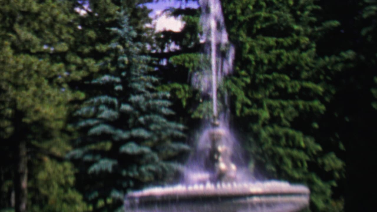 Park fountain with a tall water jet and evergreen trees behind it.