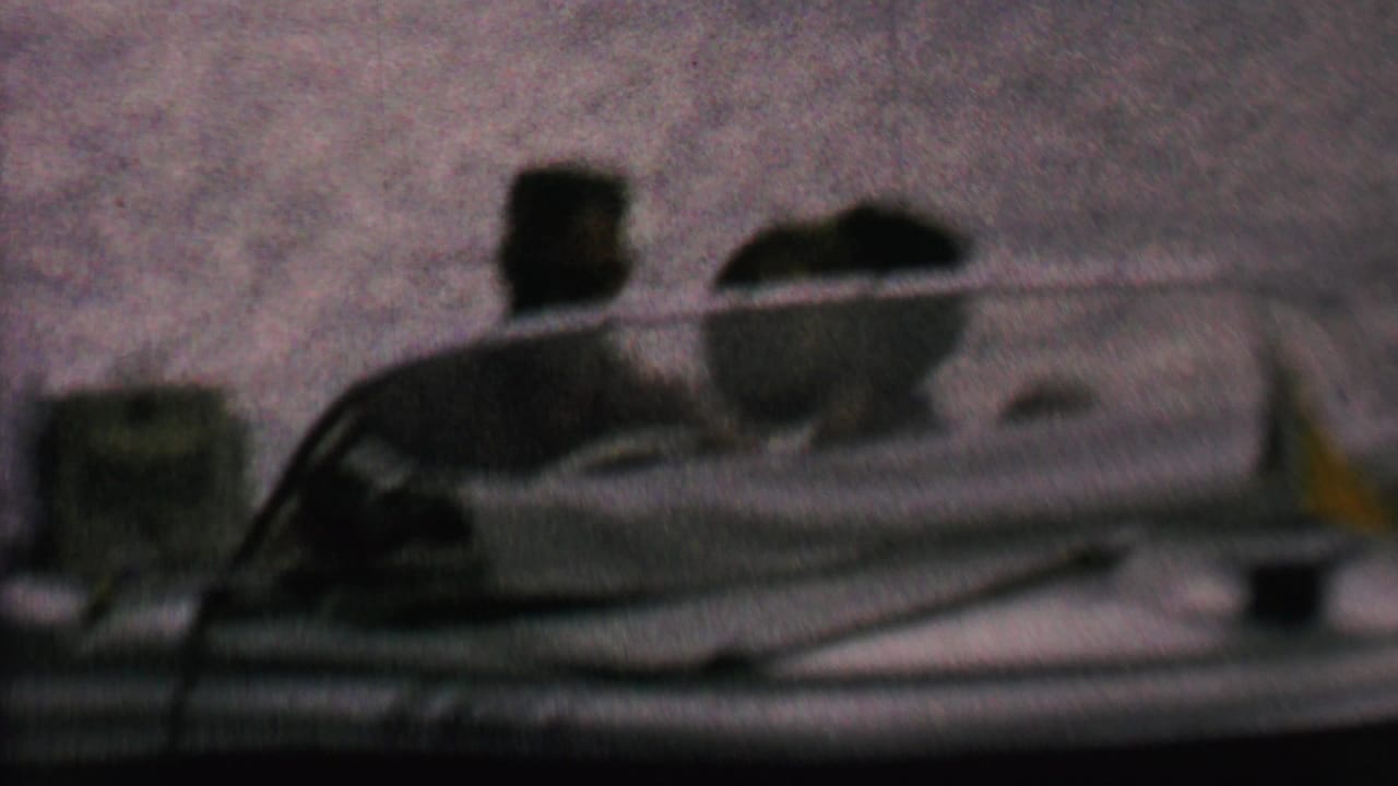 Small motorboat on the water with seated people silhouetted inside.