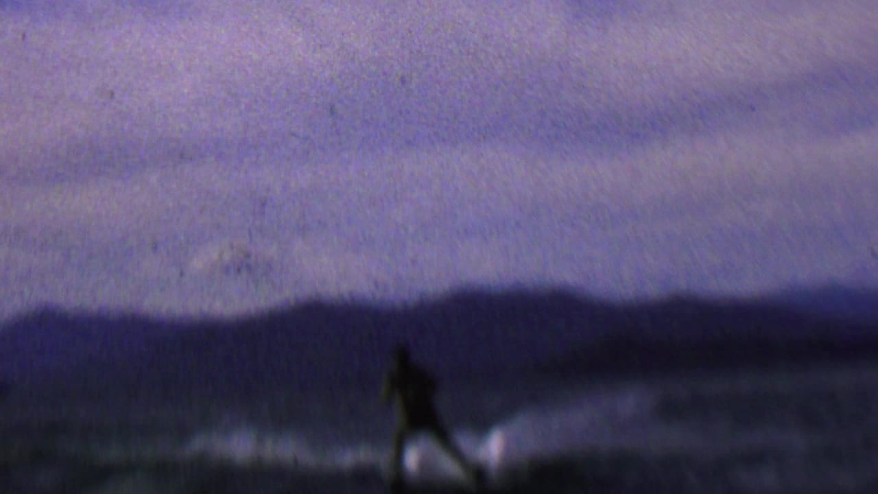Silhouetted water skier moving across dark water under a purple-blue sky.