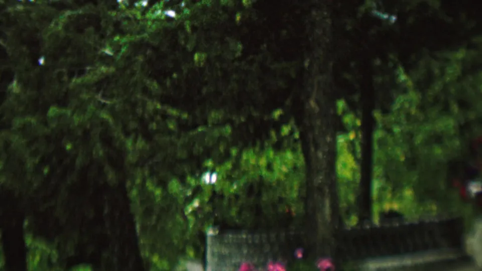 Dense green trees and shaded trunks fill the frame after the swimming view, suggesting a wooded lakeside or park setting in the same home-movie sequence.