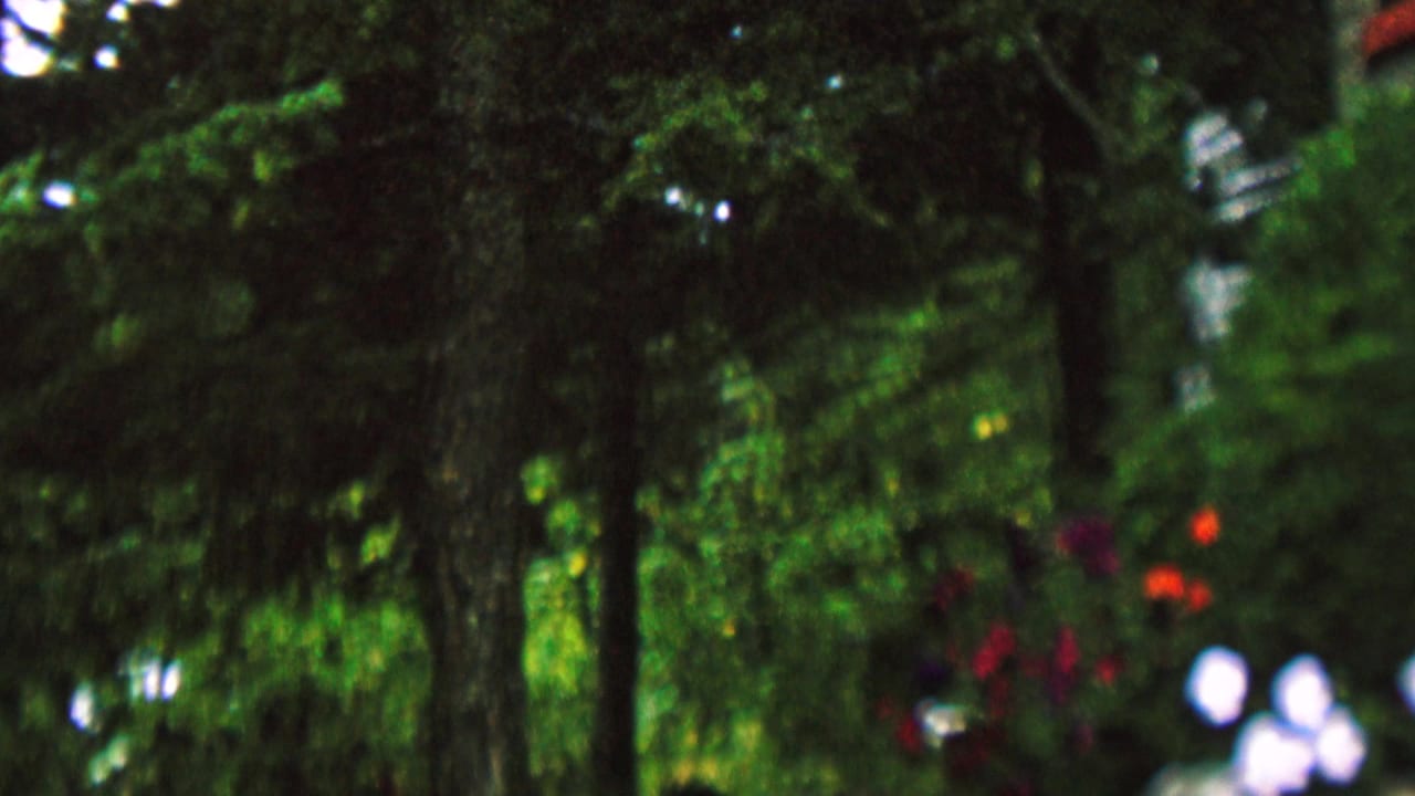 Handheld 1962 home-movie frame from St. Paul, Minnesota, showing dense trees and shrubs with only a partial view of the bottle-house exterior at the right edge.