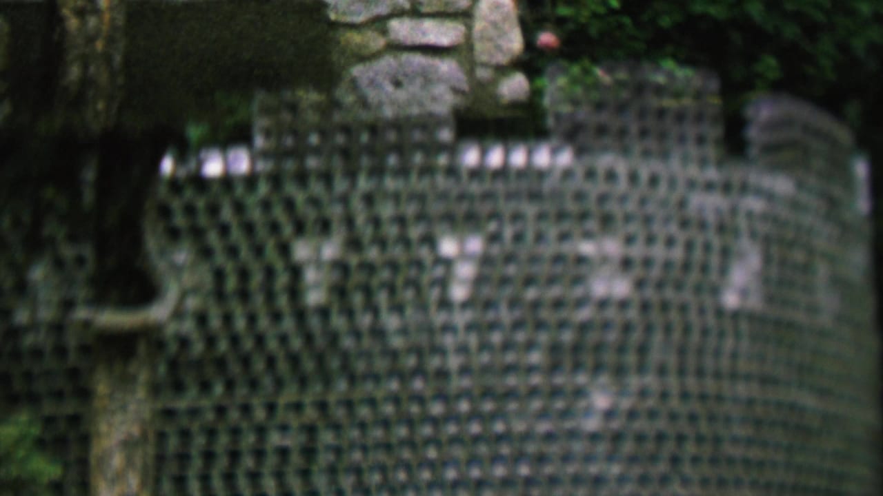 1962 St. Paul home-movie frame showing a close view of a shiny, mosaic-like stone-covered surface with trees and garden foliage around it.
