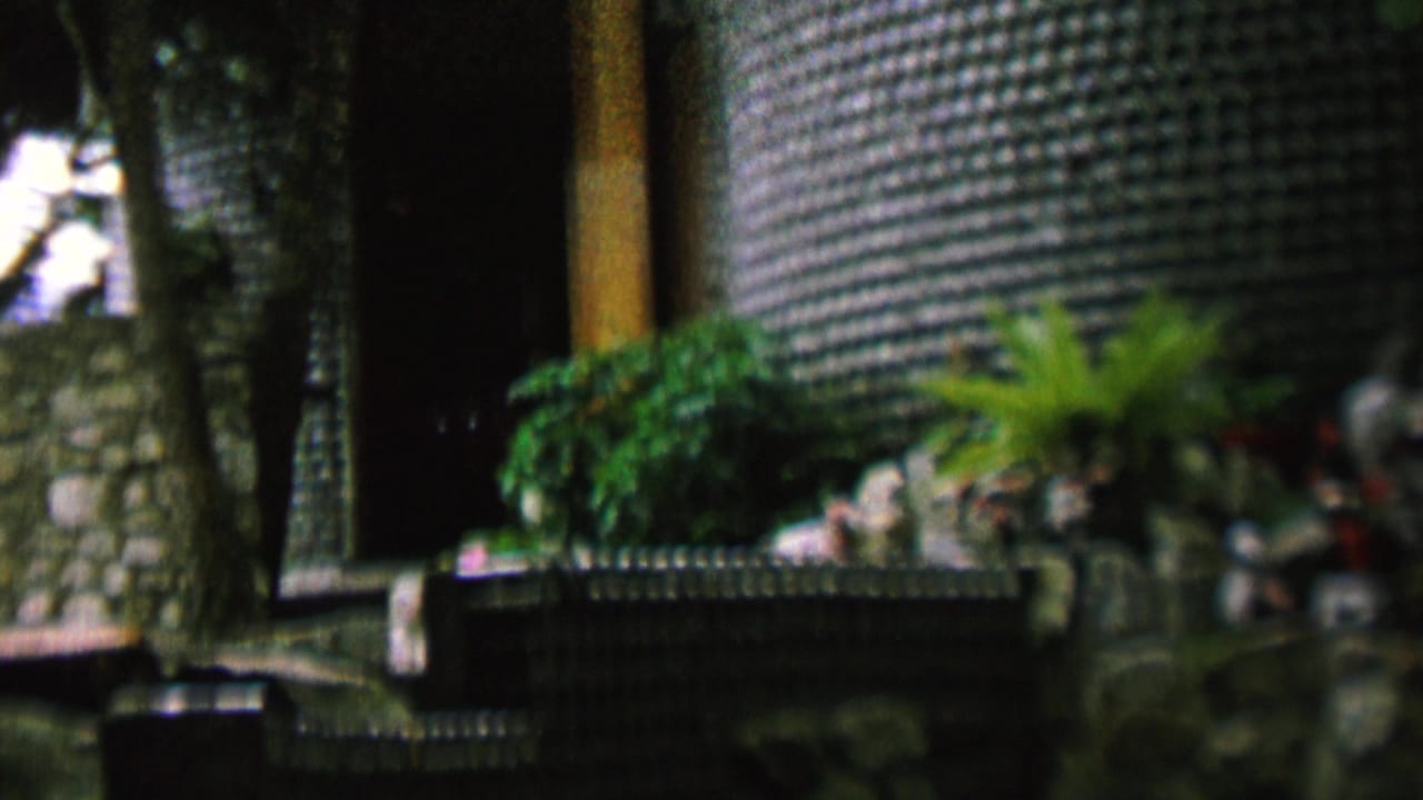 1962 home-movie frame from St Paul, Minnesota, showing a dark exterior entrance beside a textured grid wall with plants arranged on a stone-like ledge.