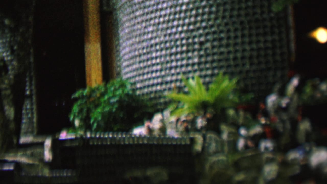 Exterior wall detail with ferns, ledge, vertical trim, and shadowed doorway.