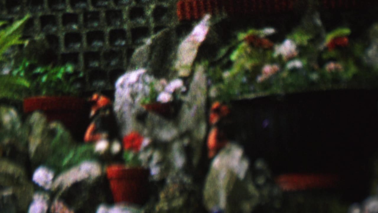 1962 St. Paul home-movie frame showing gnome-like decorative figures among rocks, red pots, green plants, and a dark grid-patterned wall.