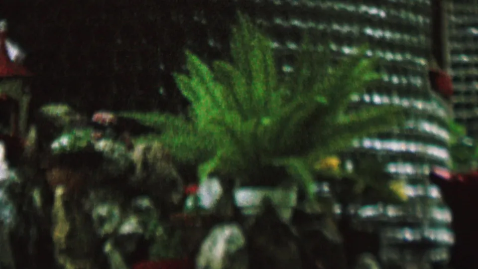 1962 St. Paul home-movie frame showing ferns, rocks, small decorative figures, and a shiny ribbed structure within the whimsical indoor display.