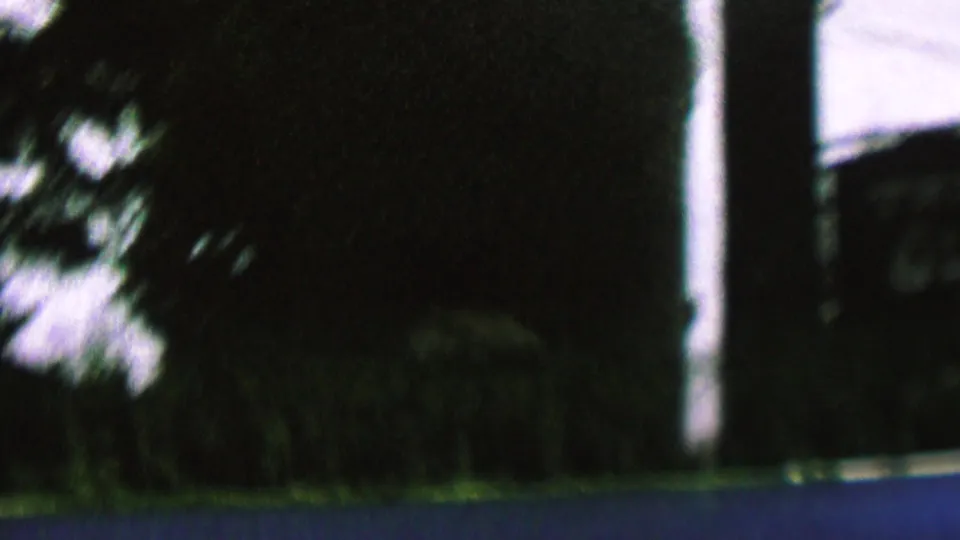 1962 St. Paul home-movie frame with a dark wooded hillside, grass along the lower edge, a sign near the right side, utility wires, and a dim purple sky.