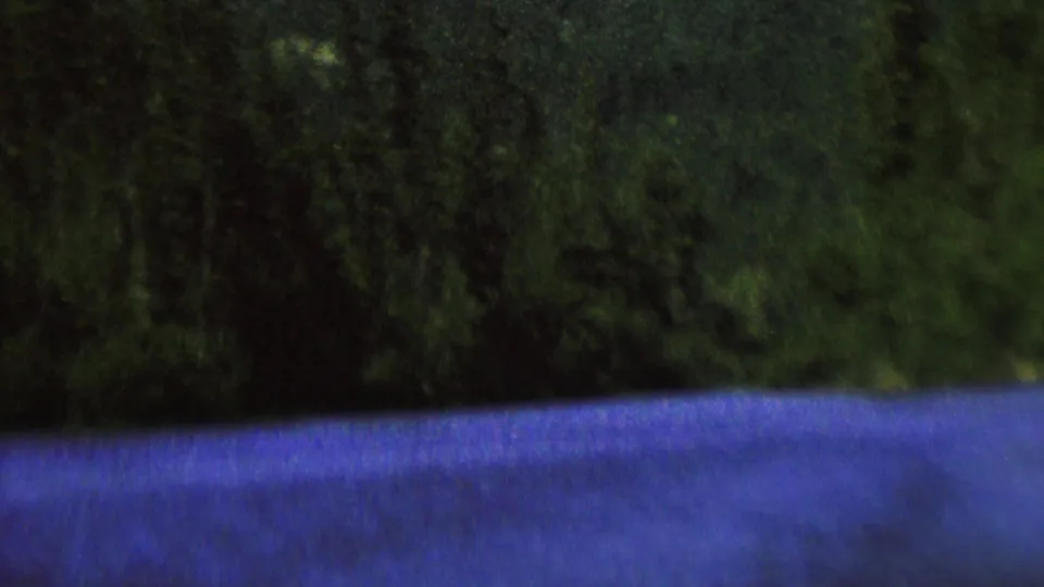 1962 8mm frame with a close, soft view of dark evergreen forest and blue water along the lower edge of the frame.