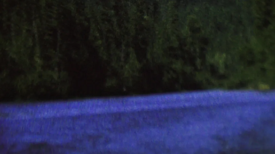 1962 8mm home-movie frame showing blue water in the foreground and a dense evergreen shoreline, with no people or structures visible.