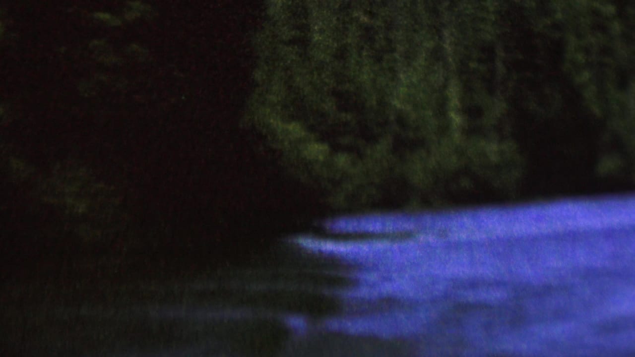 Tree-lined shoreline reflected in dark blue water.