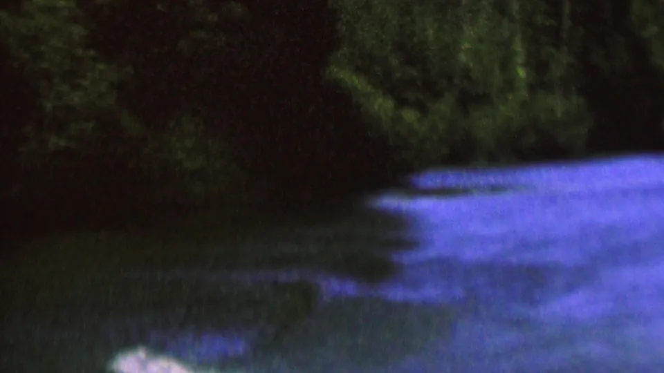 The camera frames a shaded forest edge and rippled blue-purple river water in this 1962 8mm home-movie scene from the supplied St. Paul metadata.
