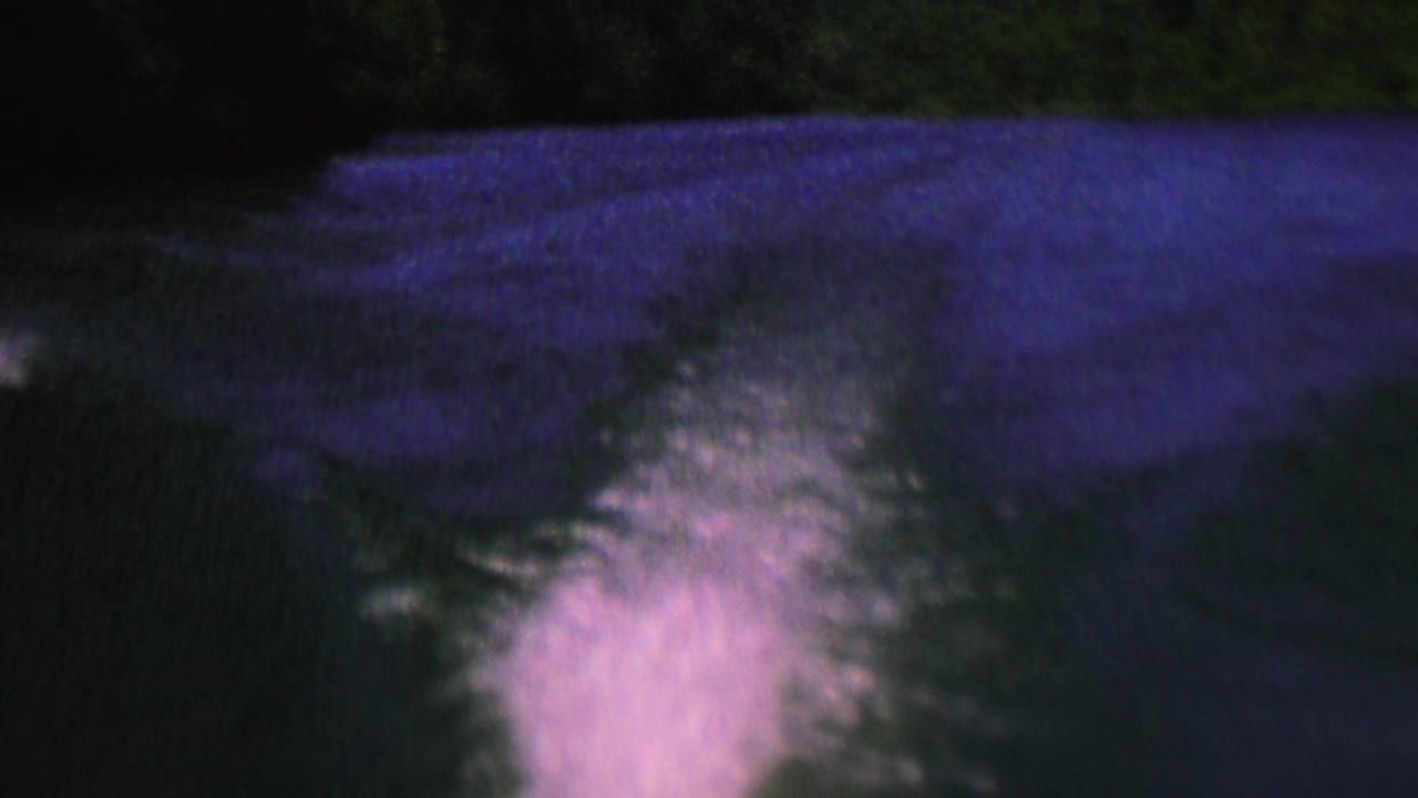 Bright foamy wake centered on a dark blue lake with trees in the background.