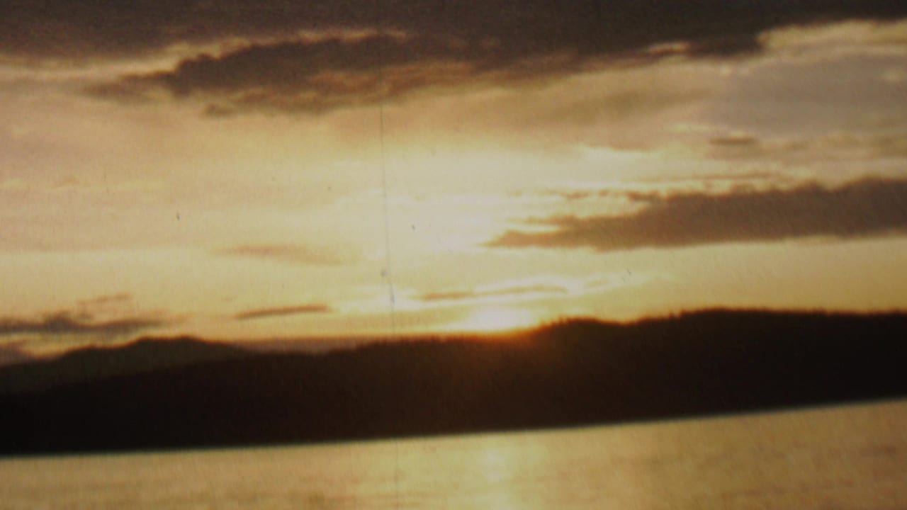 Bright sunset sky above water and a dark tree-lined horizon.