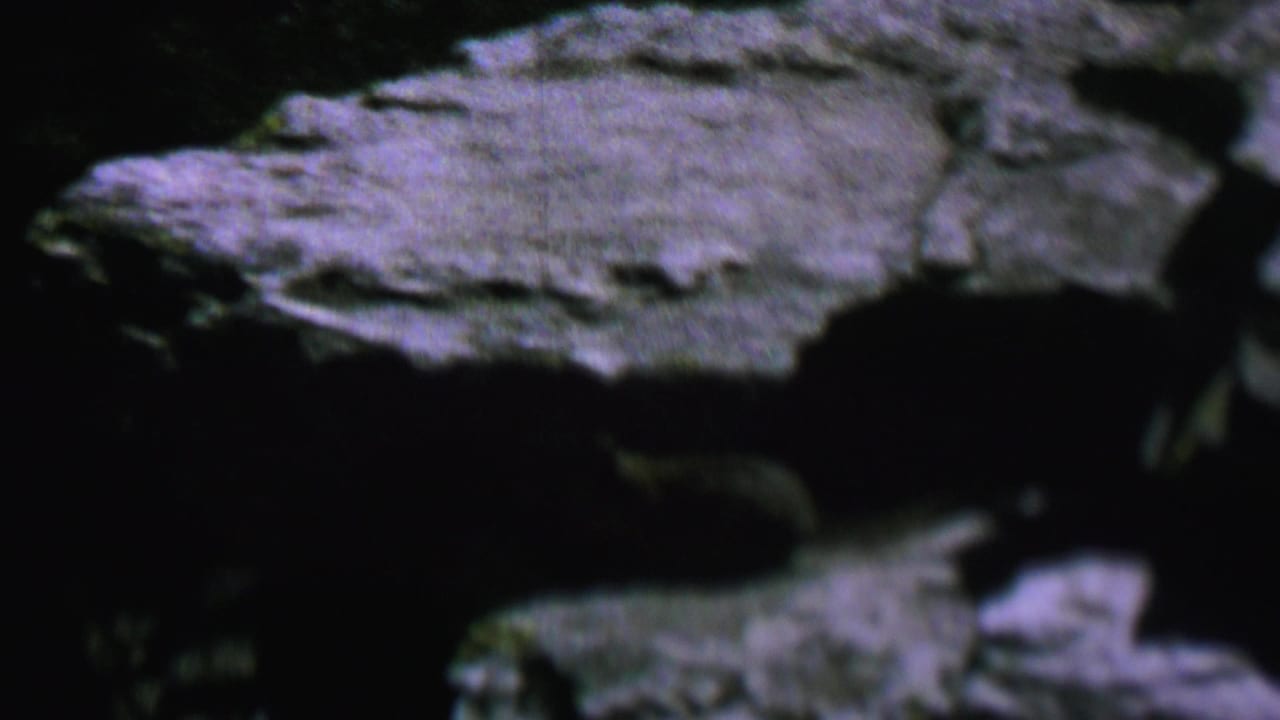1962 8mm home-movie frame from the United States showing a small likely raccoon moving through shadowed layered rocks.