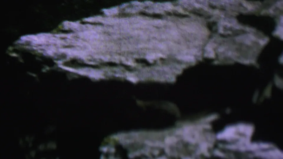 1962 8mm home-movie frame from the United States showing a small likely raccoon moving through shadowed layered rocks.