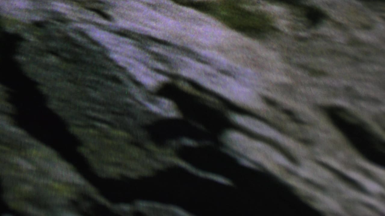 A small likely raccoon appears in motion across striated rocks in grainy 1962 8mm home-movie footage.
