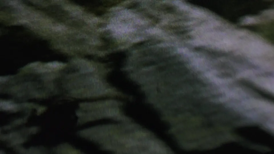 The home-movie camera catches a small likely raccoon as a blurred figure moving past uneven rocks and shadow.