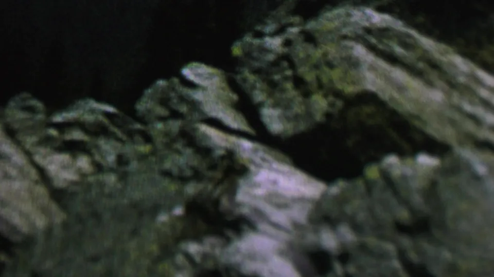 A small likely raccoon is partly visible near mossy layered rocks in a dim 1962 8mm home-movie frame.