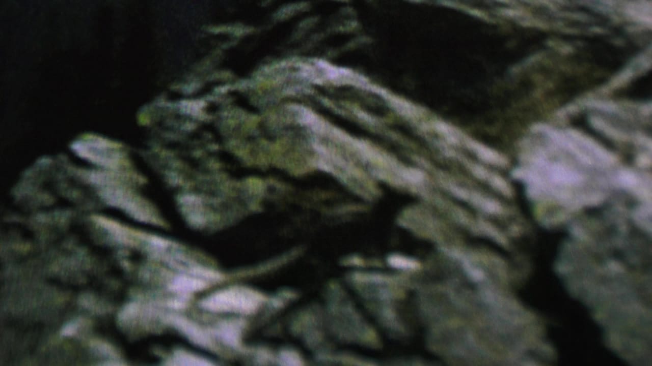 1962 St. Paul 8mm frame showing dark, soft-focused layered rocks in low light, with no animal clearly visible in this still.
