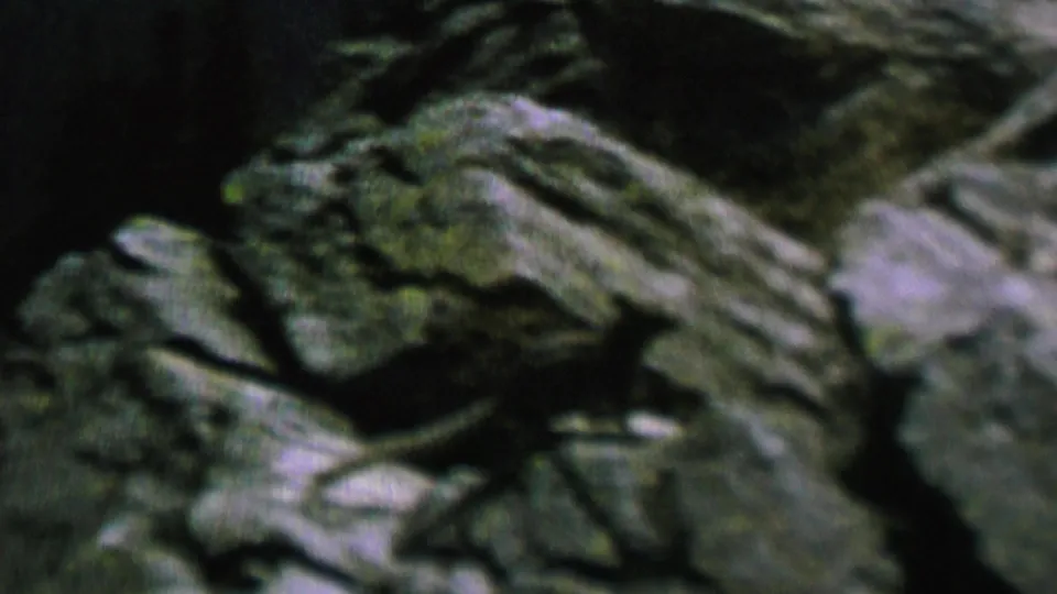 1962 St. Paul 8mm frame showing dark, soft-focused layered rocks in low light, with no animal clearly visible in this still.