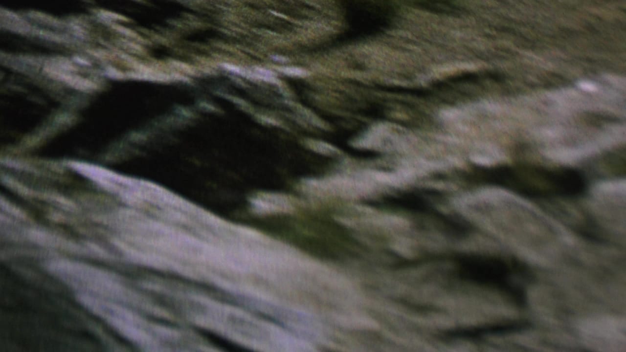 Close view of pale and dark rocks with blurred texture across the frame.
