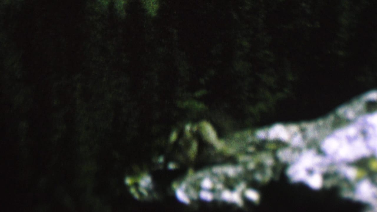 A small chipmunk appears on pale rocks in a dark wooded setting, from 1962 8mm home-movie footage identified as St. Paul, Minnesota.