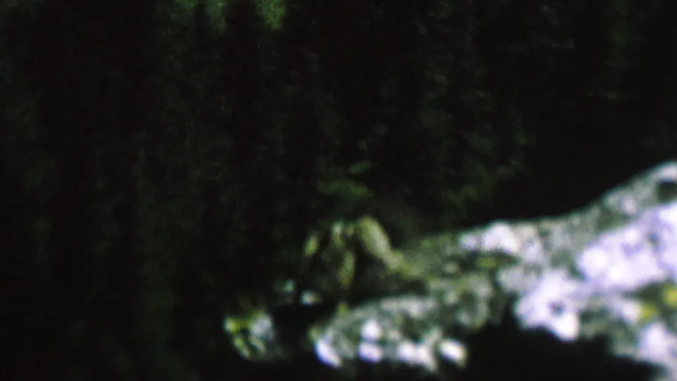 A small chipmunk appears on pale rocks in a dark wooded setting, from 1962 8mm home-movie footage identified as St. Paul, Minnesota.