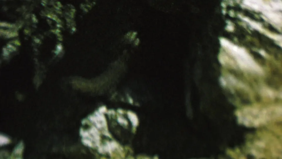 The chipmunk appears near the right side of the frame beside pale rock and deep woodland shadow in the stated 1962 St. Paul, Minnesota clip.