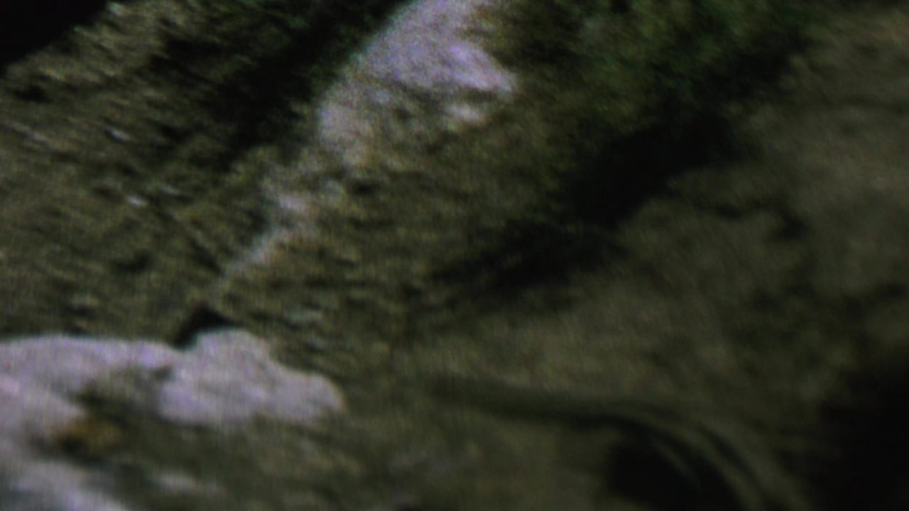 A striped chipmunk appears in soft-focus 1962 home-movie footage from St. Paul, Minnesota, moving quickly across rocky ground with sparse grass nearby.