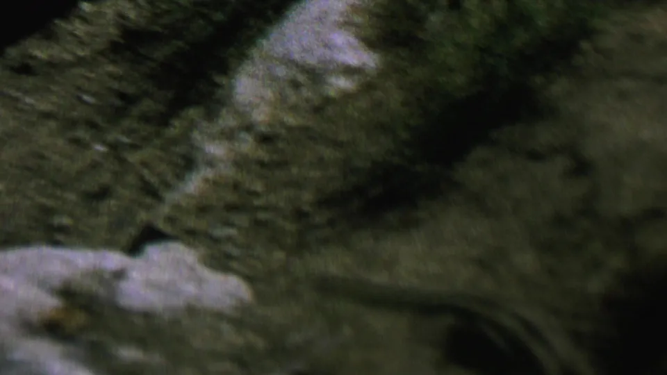 A striped chipmunk appears in soft-focus 1962 home-movie footage from St. Paul, Minnesota, moving quickly across rocky ground with sparse grass nearby.
