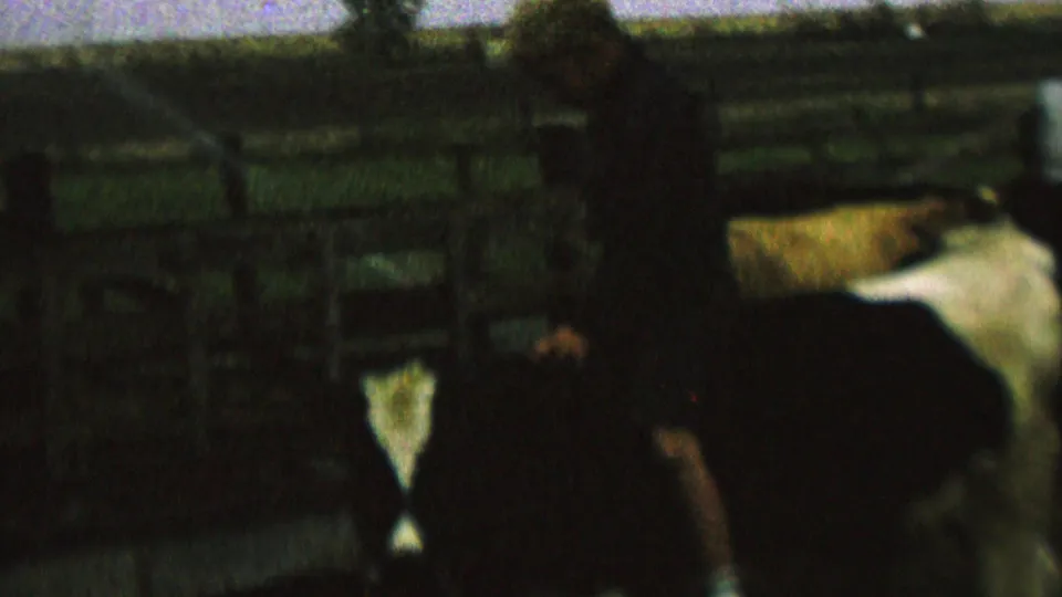 In the final 1962 8mm frame, several cattle cluster in the corral and the rider is partly obscured near the fence against open fields and a pale sky.