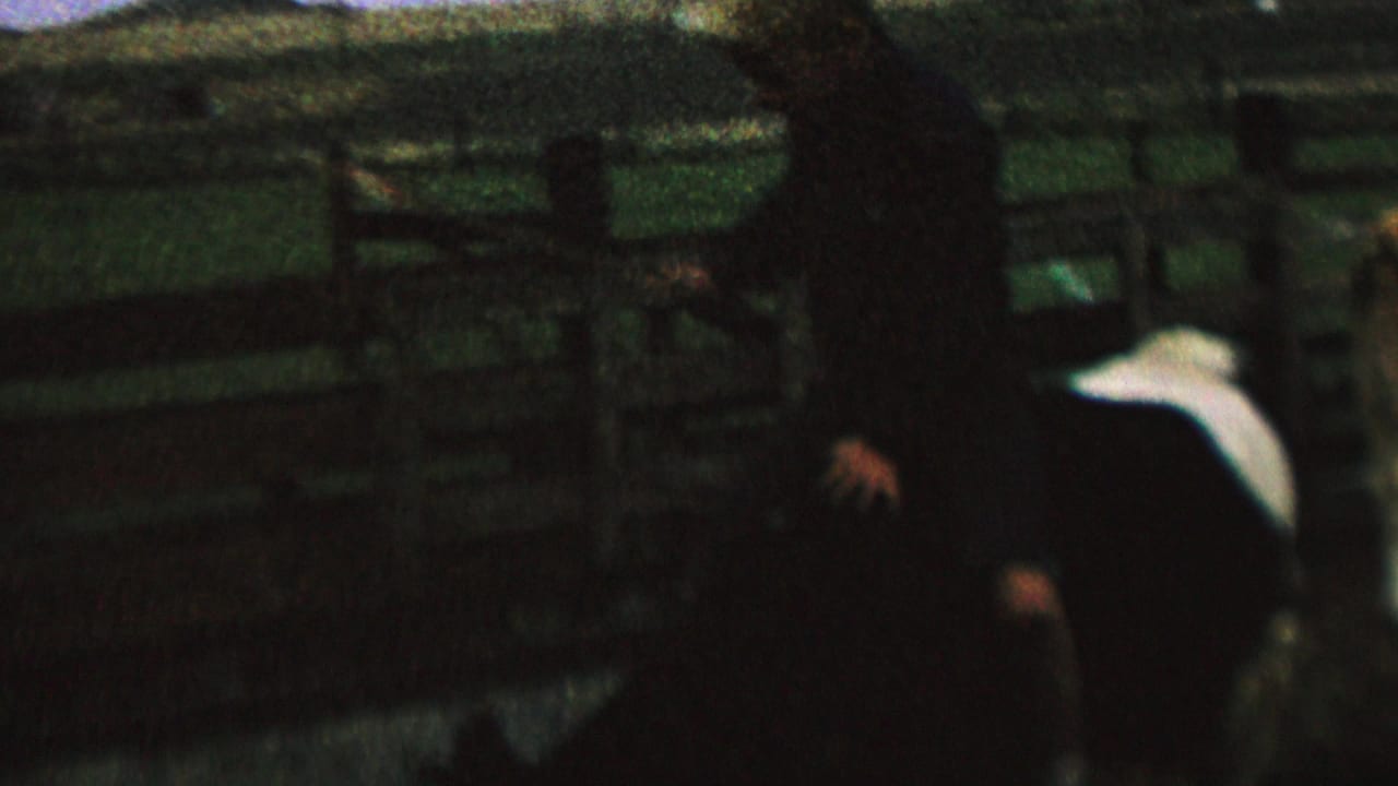 1962 8mm home-movie frame from cataloged St. Paul, Minnesota footage showing a rider on a black-and-white cow in a fenced farm enclosure.