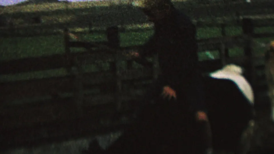 1962 8mm home-movie frame from cataloged St. Paul, Minnesota footage showing a rider on a black-and-white cow in a fenced farm enclosure.