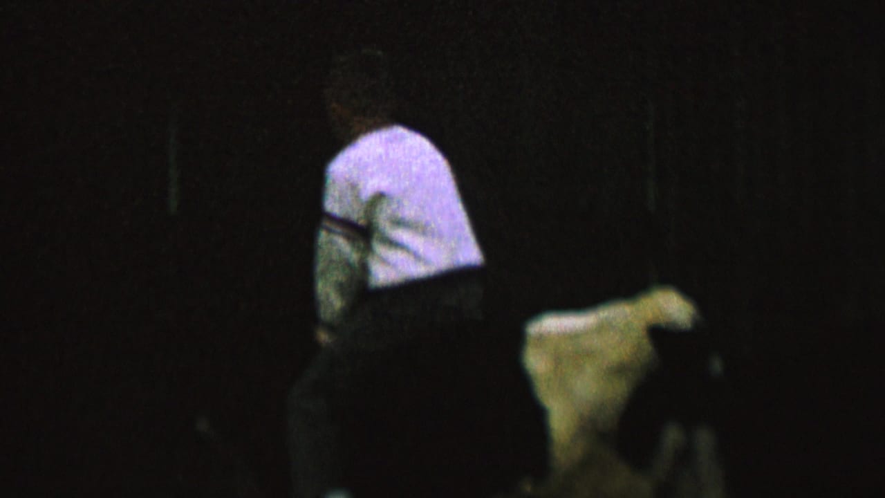 In 1962 home-movie footage identified as St. Paul, Minnesota, a small rider seen from behind sits on a light-colored cow against a nearly black background.