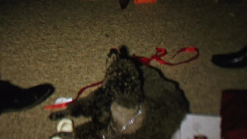 A dark poodle lies low on a carpeted floor in the St. Paul home interior, surrounded by red ribbon, dress shoes, and small light-colored objects.