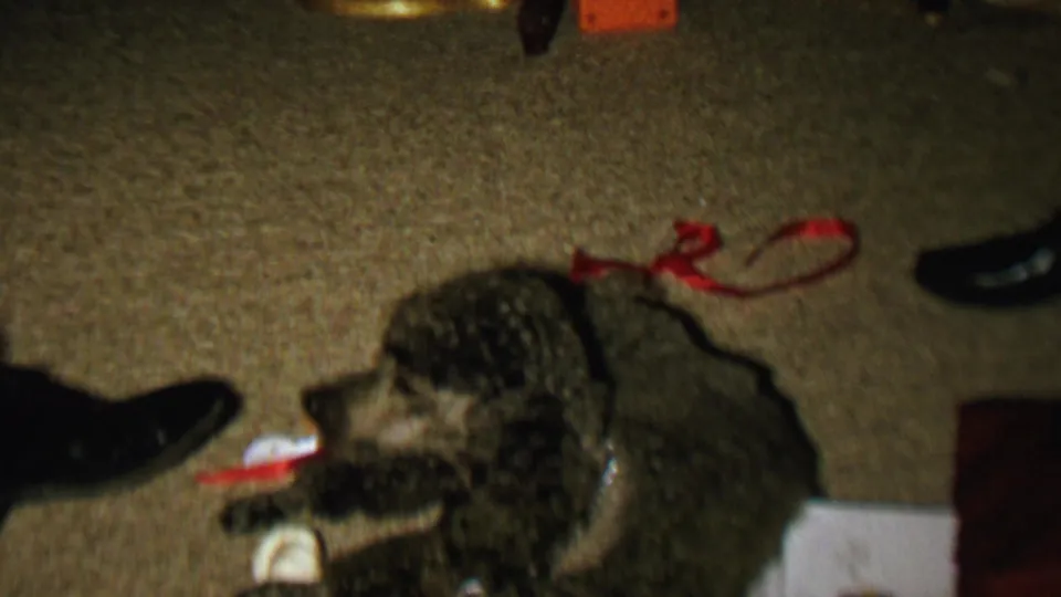 A curly-haired poodle-like dog lies on a carpeted floor in a 1962 St. Paul home-movie Christmas scene, with a red ribbon, black dress shoes, and scattered gift items nearby.