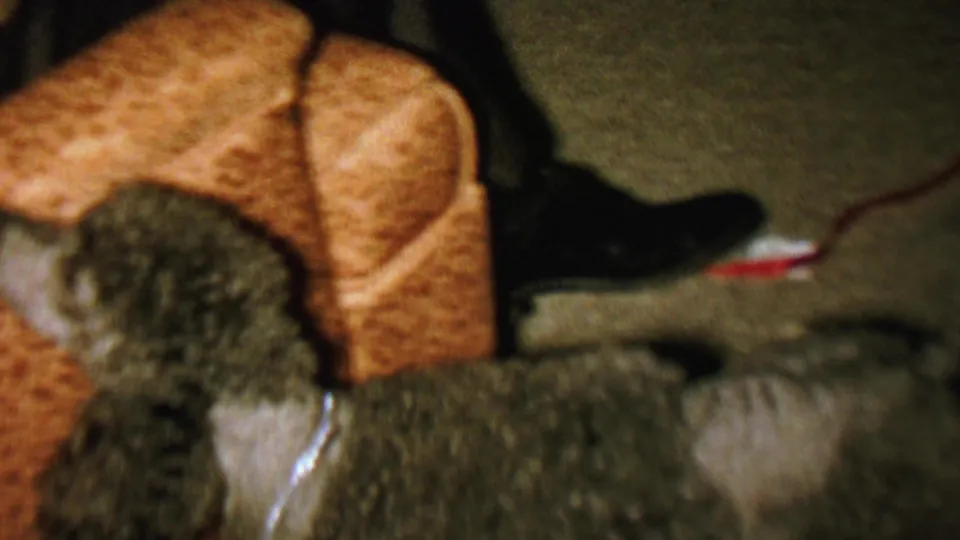 A small dark curly-haired dog, described in the clip metadata as a poodle, rests on a brown patterned couch in a dim St. Paul home interior from the supplied 1962 footage.