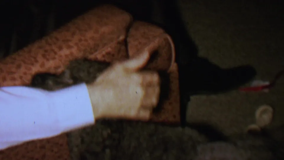 A white-sleeved arm and hand gently pet the small dark curly-coated dog while it remains partly on the brown patterned couch in the 1962 home-movie scene.