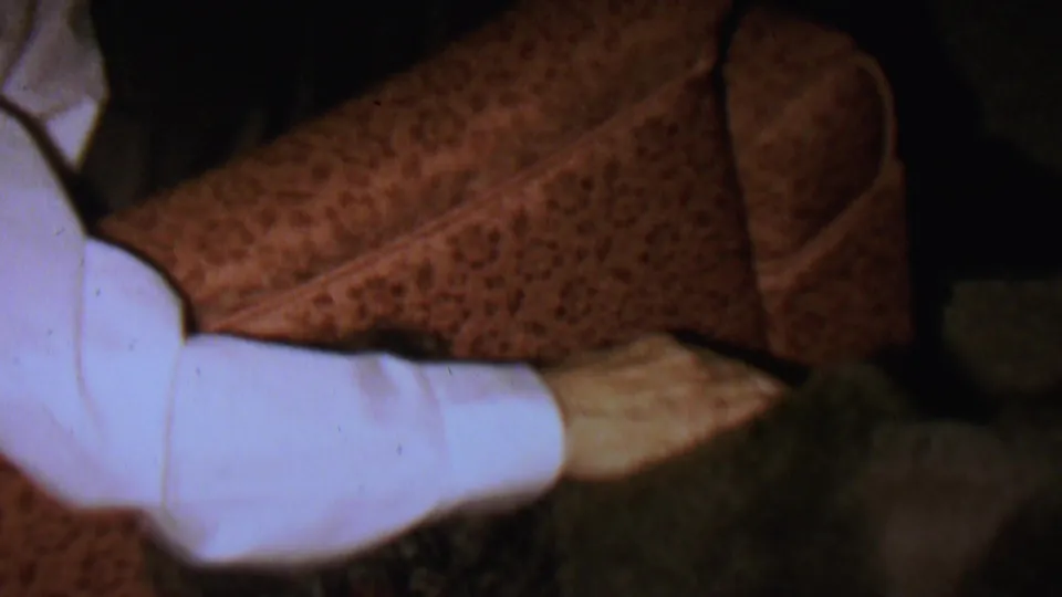 The person's white-sleeved arm extends across the frame to pat or steady the dark curly-haired dog near the edge of the brown patterned couch.
