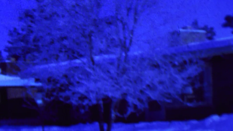 Blue-tinted 1962 home-movie frame from St. Paul showing snow on a yard, a bare tree, and the shadowed side of a single-story house.