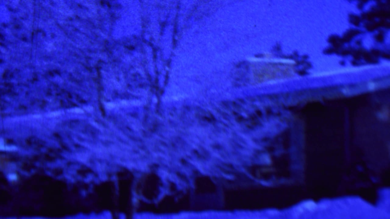 Snow-covered house roof and chimney behind a bare tree.